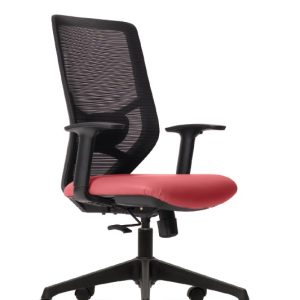 HB Adjustable Arm Chair